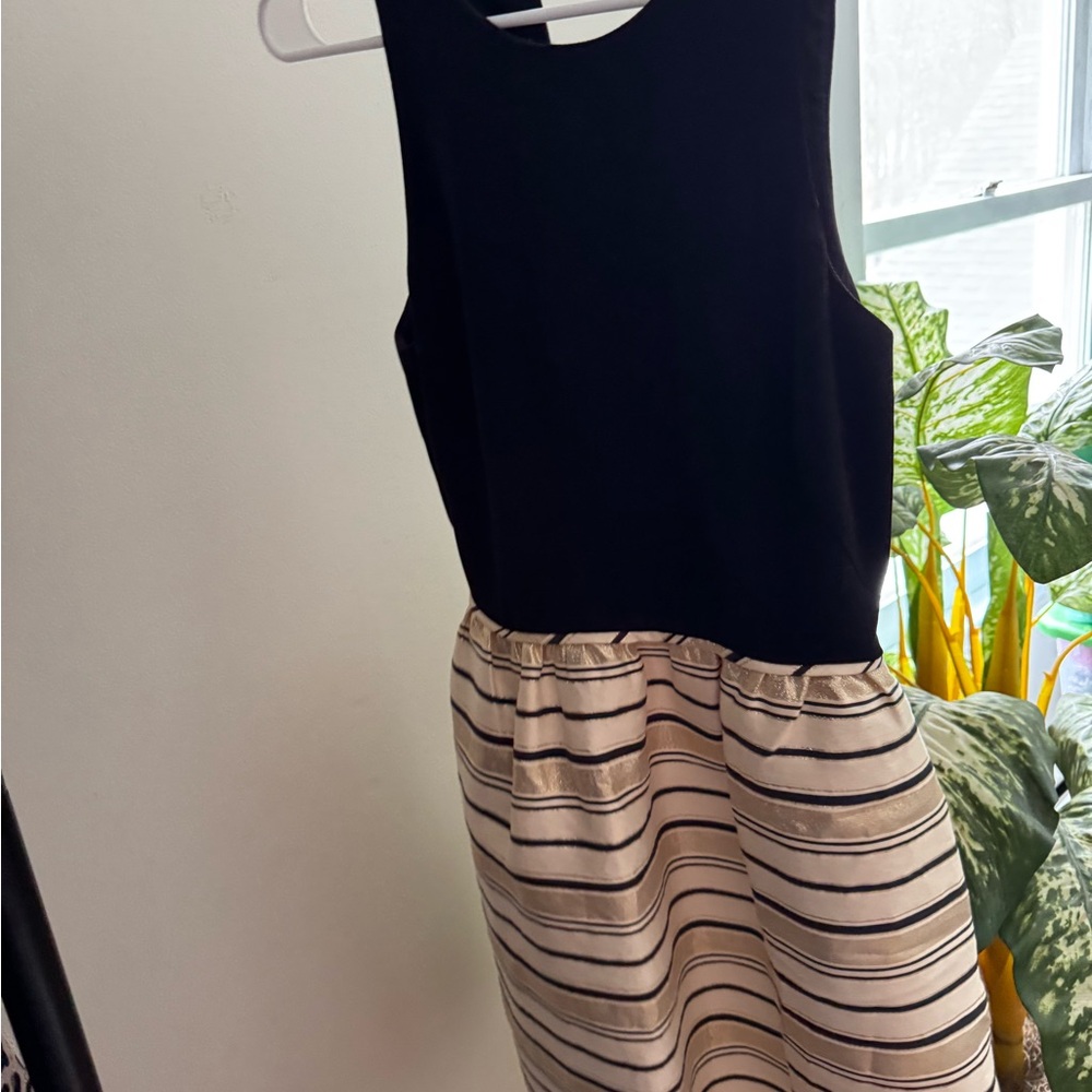 J Crew Striped Dress